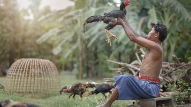 Chế độ nghỉ ngơi, phục hồi sau huấn luyện vô cùng quan trọng