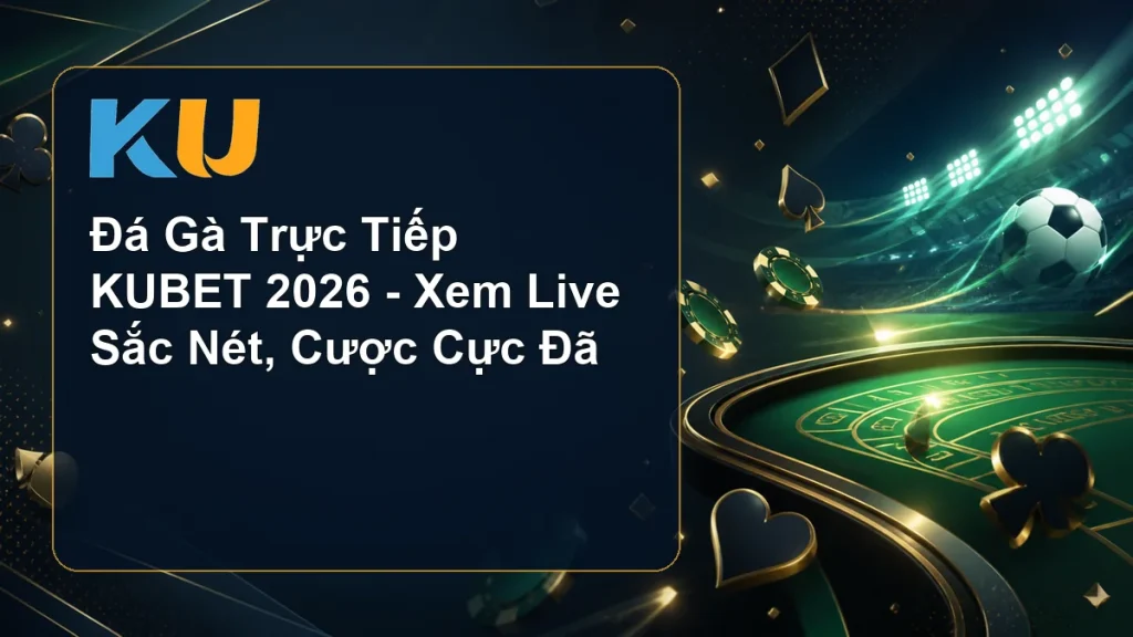 Đá Gà Trực Tiếp KUBET 2026 - Xem Live Sắc Nét, Cược Cực Đã - hình đại diện KU 63